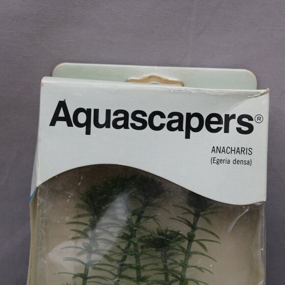 Vintage Aquarium Plant - Anacharis by Aquascapers - New In Package - Picture 2 of 8